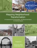 Mapping Neighborhood Transformation Report